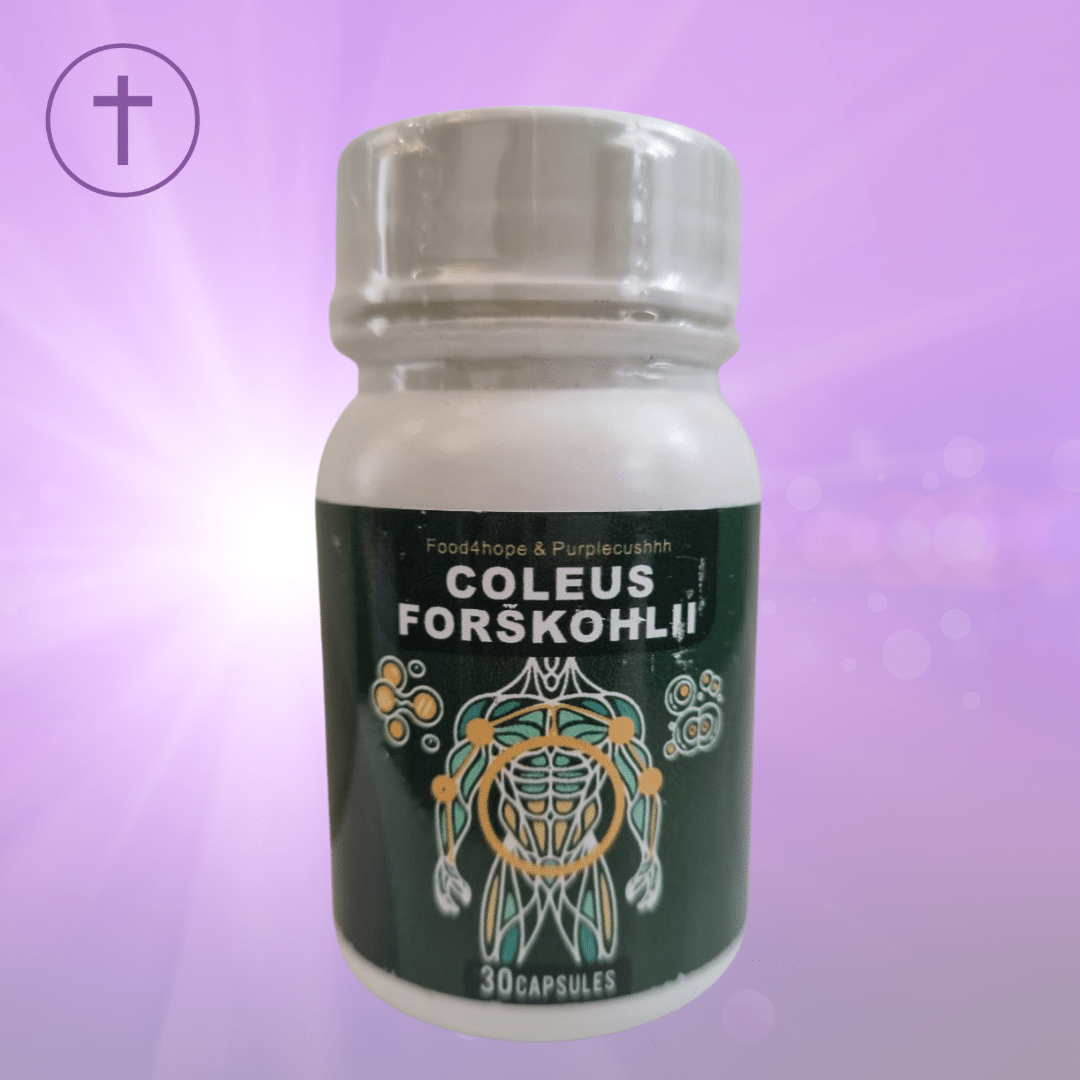 Coleus_Forskohlii_Purple_Cushhh_www.purplecushhh.co_.za